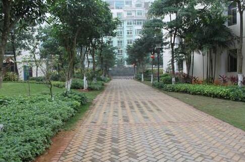 施工完成的人行道砖路面